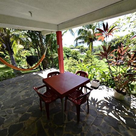 Windy View Guest House Archibolds Exterior foto