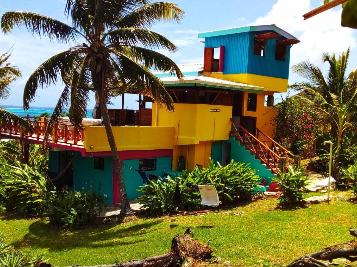 Windy View Guest House Archibolds Exterior foto