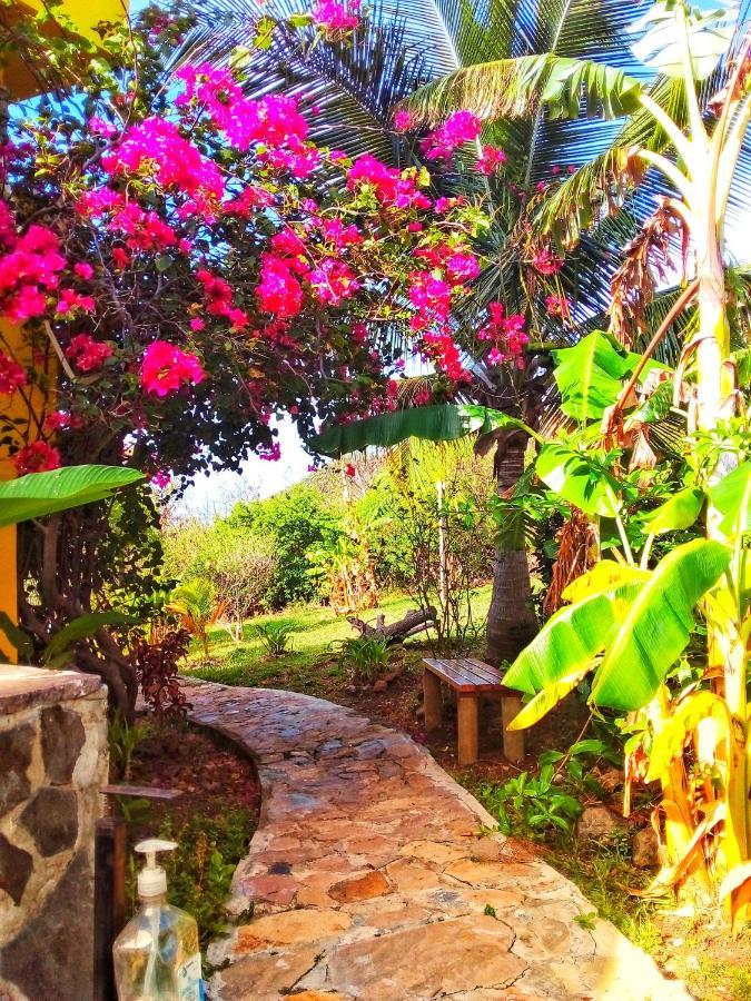 Windy View Guest House Archibolds Exterior foto