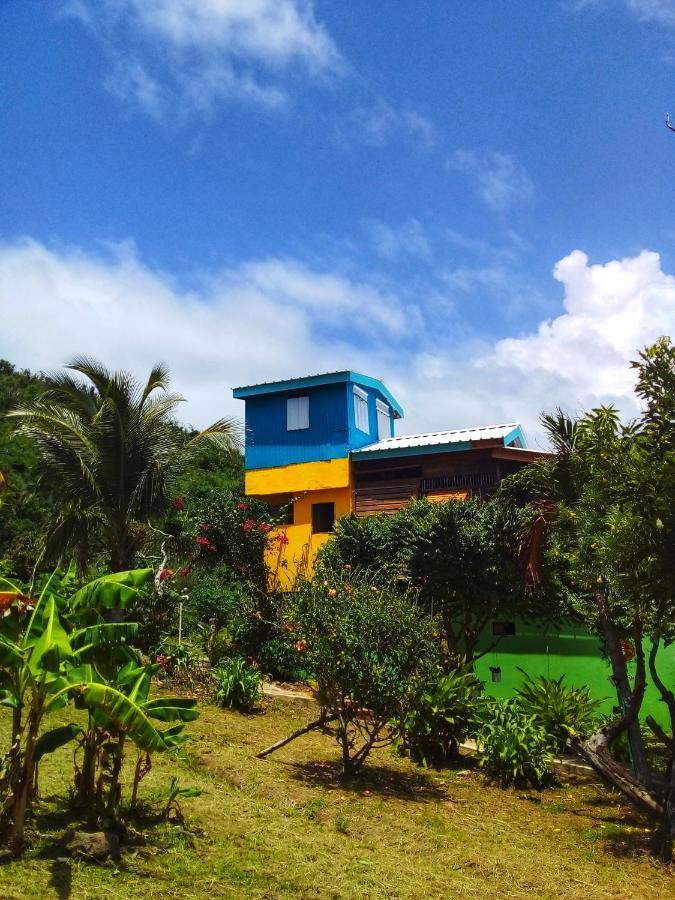 Windy View Guest House Archibolds Exterior foto