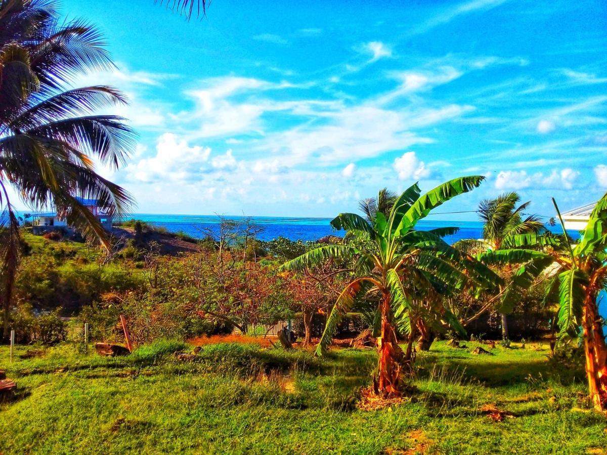 Windy View Guest House Archibolds Exterior foto