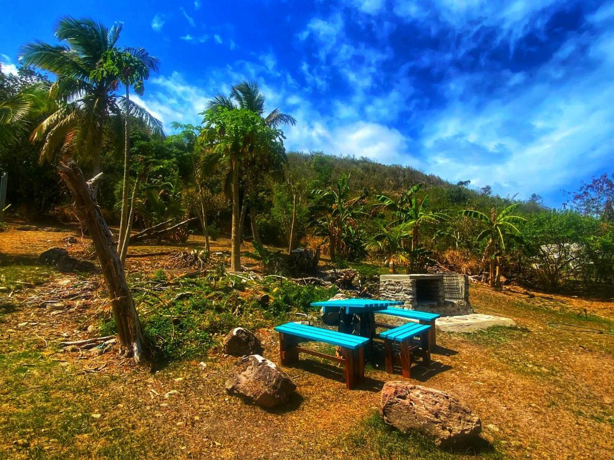 Windy View Guest House Archibolds Exterior foto