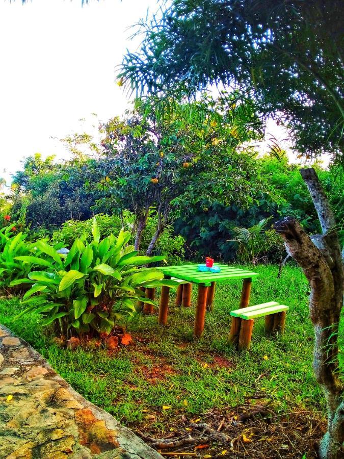 Windy View Guest House Archibolds Exterior foto