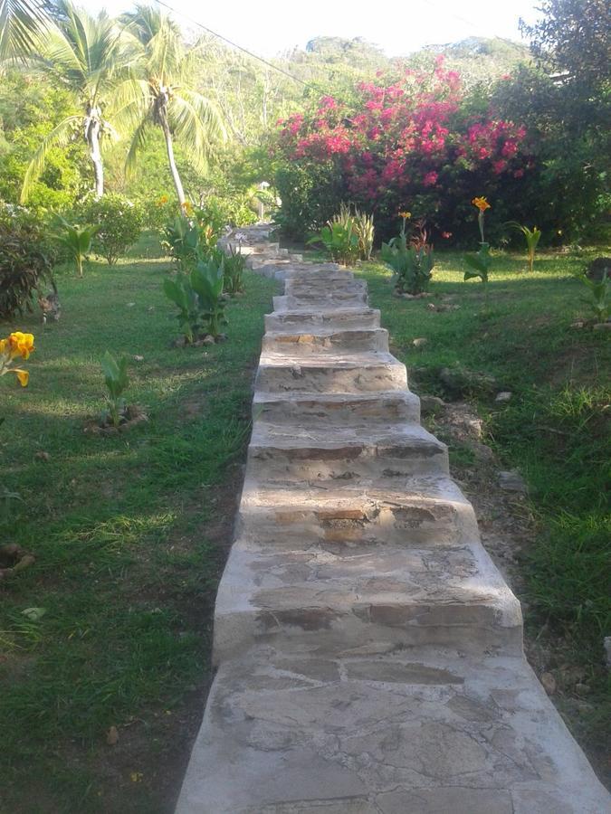 Windy View Guest House Archibolds Exterior foto