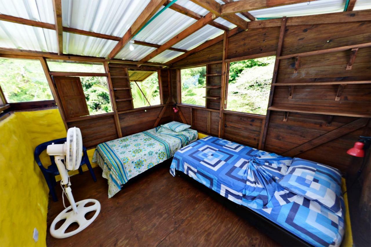 Windy View Guest House Archibolds Exterior foto